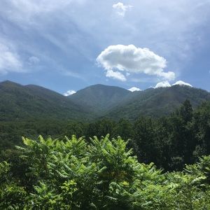 Meet your Posher, Coleen